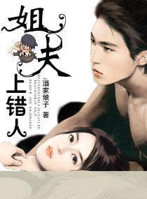 姐夫，上错人