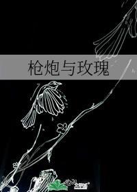枪炮与玫瑰rocketqueen