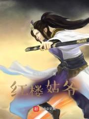 红楼姑爷免费阅读全文免费阅读