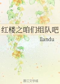 红楼之咱们组队吧