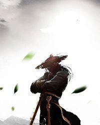穿越网王之血色染雪